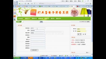 029php灯具店的电子商务系统（150元）