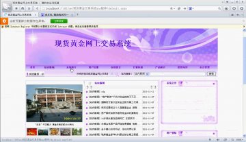 024+.net现货黄金交易系统xns程序（150元）