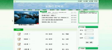 506+php宠物信息网站（程序+论文）500元