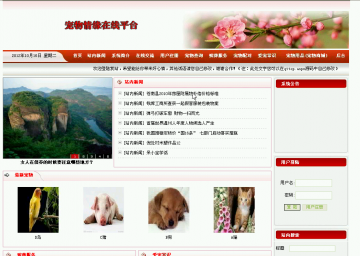 218 宠物情缘在线平台xns（程序）400元