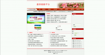 296 net慈善捐助平台（程序）400元