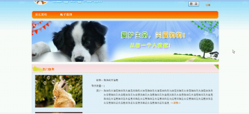 314 asp.net论坛（程序）400元